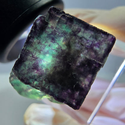 Phantom Fluorit Würfel Stufe, parkettiert grün lila Okorusu, Namibia 21*20*17mm