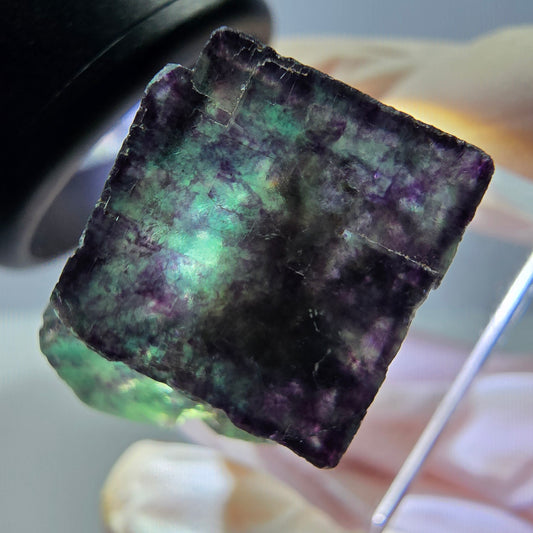 Phantom Fluorit Würfel Stufe, parkettiert grün lila Okorusu, Namibia 21*20*17mm
