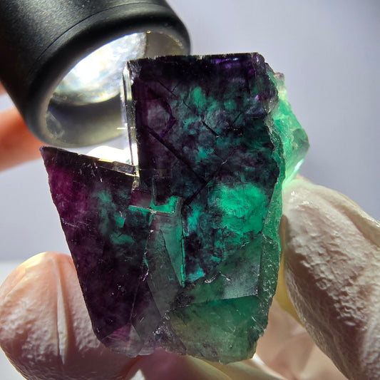 Spécimen de cube de fluorite fantôme, parqueté vert violet Okorusu, Namibie 38*34*25 mm 