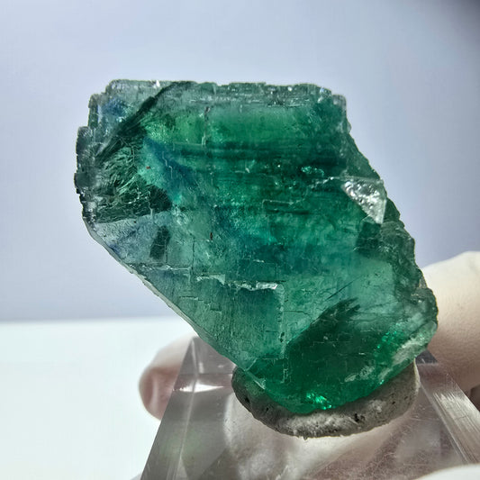 Cube de fluorite fantôme transparente parquetée, vert Okorusu, Namibie 38 x 25 x 25 mm 