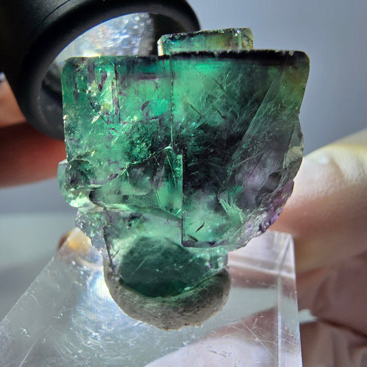 Spécimen de cube de fluorite fantôme, parqueté vert violet Okorusu, Namibie 30*26*17 mm 