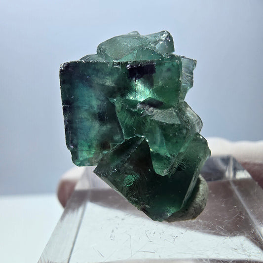 Spécimen de cube de fluorite fantôme, parqueté vert violet Okorusu, Namibie 25*21*14 mm 