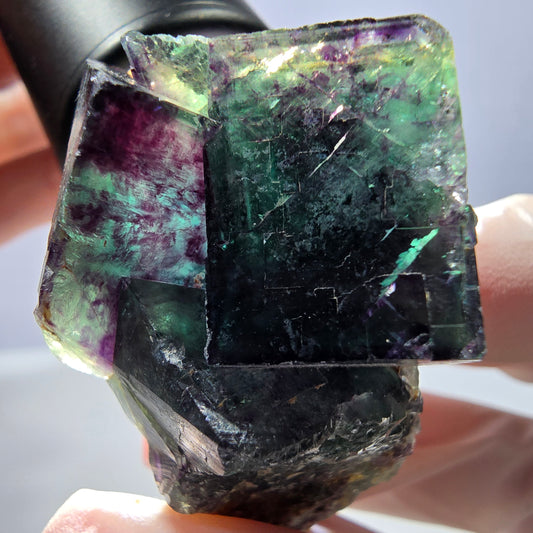 Spécimen de cube de fluorite fantôme parqueté vert violet Okorusu, Namibie 45*40*33mm 