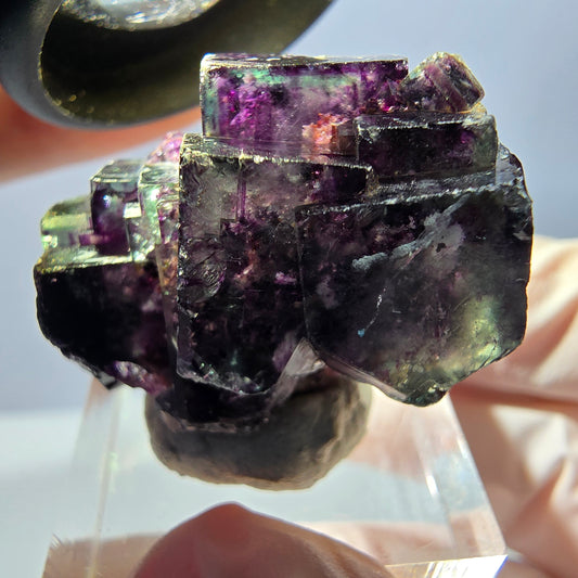Spécimen de cube de fluorite fantôme, parqueté vert violet Okorusu, Namibie 34*24*19 mm 
