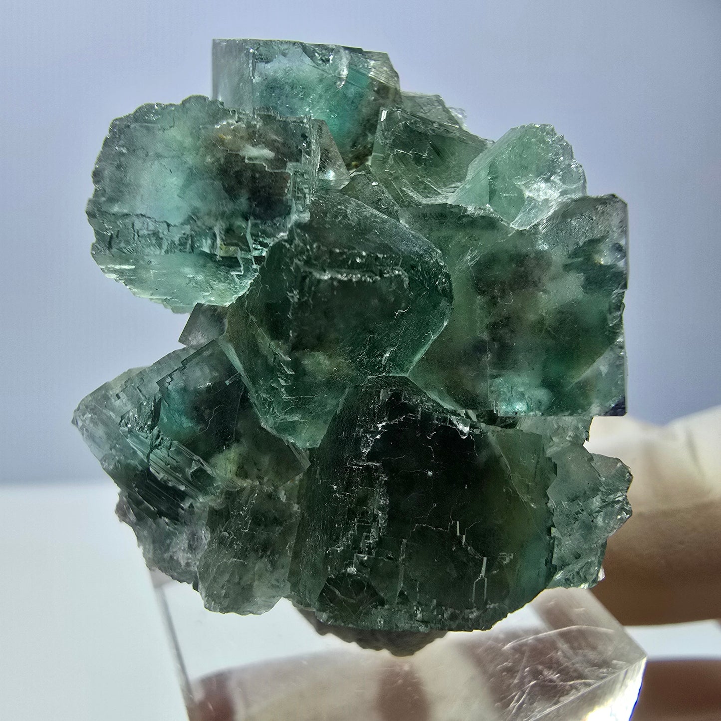 Phantom Fluorit Würfel, parkettiert, Quarz Stufe Okorusu, Namibia 42*30*26mm
