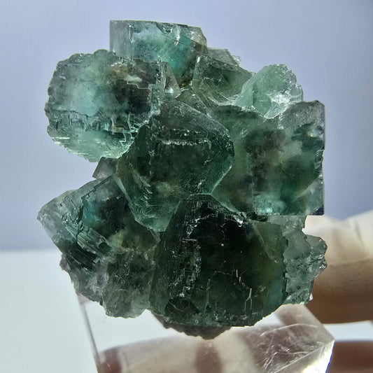 Phantom Fluorit Würfel, parkettiert, Quarz Stufe Okorusu, Namibia 42*30*26mm
