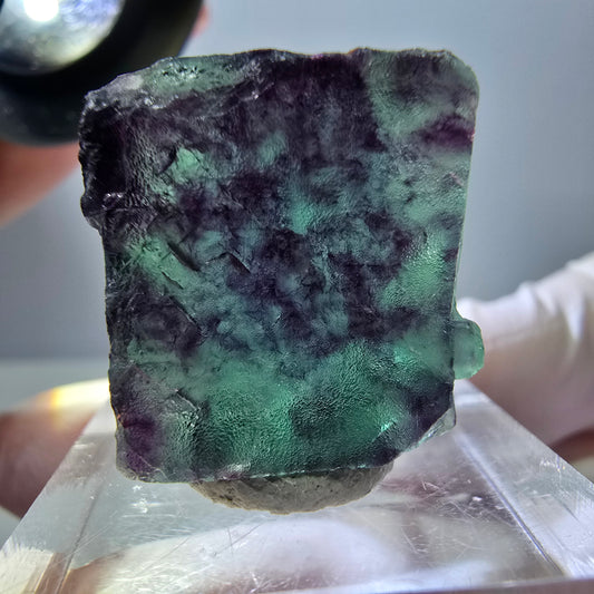 Phantom Fluorit Würfel Stufe, parkettiert grün lila Okorusu, Namibia 21*19*14mm