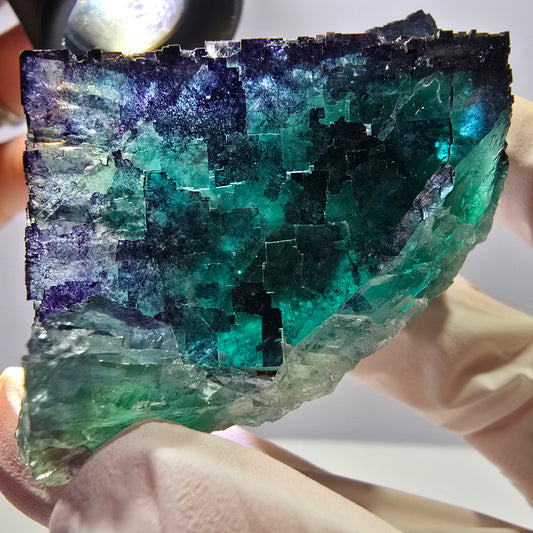 Spécimen de cube de fluorite fantôme parqueté vert violet Okorusu, Namibie 71*36*21mm 