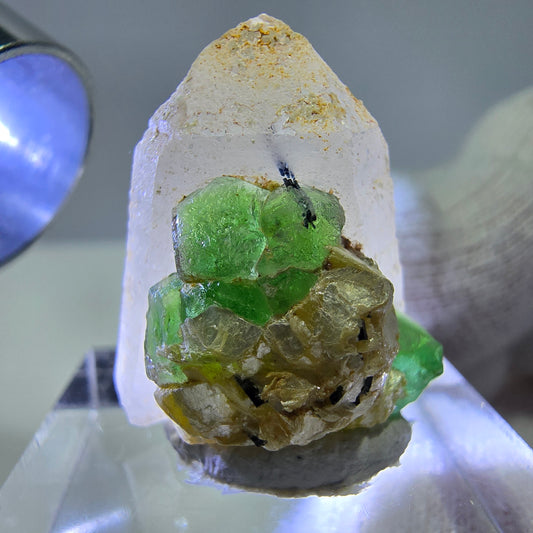 Fluorite fantôme, quartz fumé, hyalite, tourmaline de Schörl, muscovite, Erongo, Namibie, 23 x 19 x 15 mm 