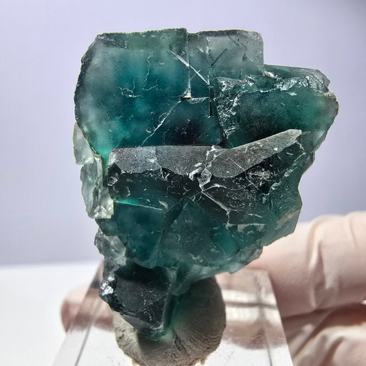 Spécimen de cube de fluorite fantôme, vert violet, Okorusu, Namibie, 37 x 30 x 16 mm 