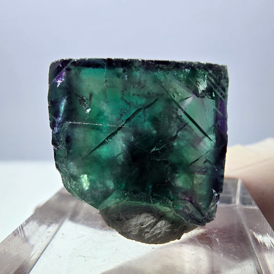 Phantom Fluorit Würfel Stufe, parkettiert grün lila Okorusu, Namibia 18*17*14mm
