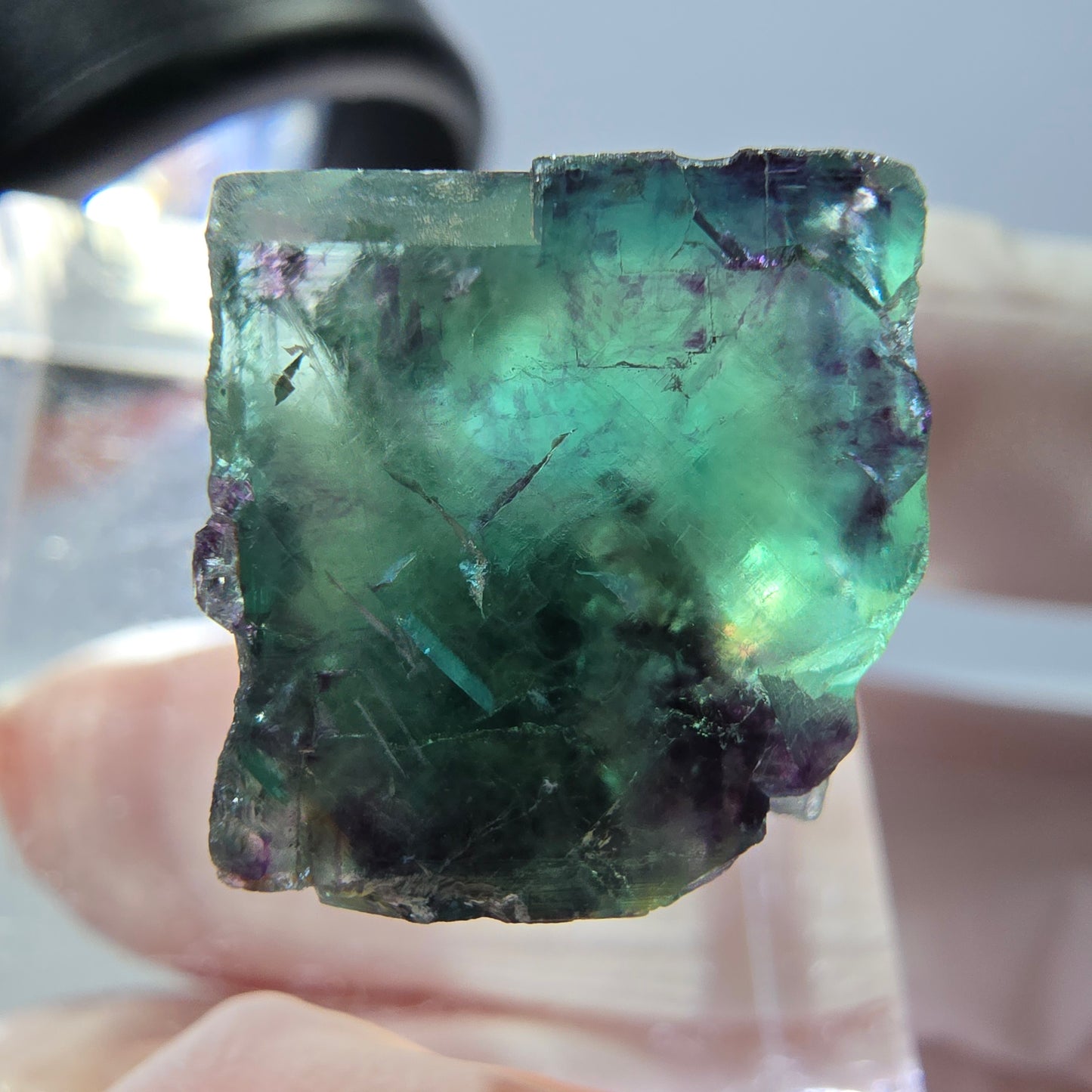Phantom Fluorit Würfel Stufe, parkettiert grün lila Okorusu, Namibia 14*13*13mm