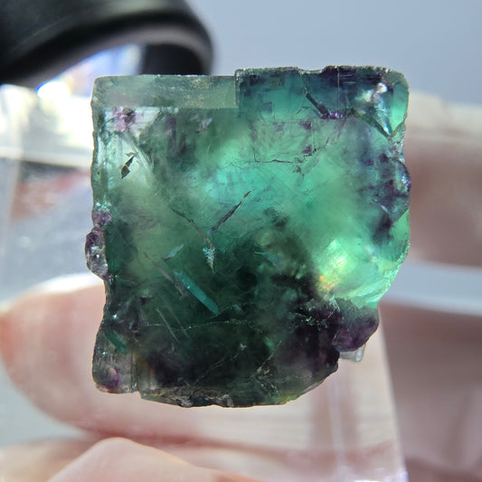 Phantom Fluorit Würfel Stufe, parkettiert grün lila Okorusu, Namibia 14*13*13mm