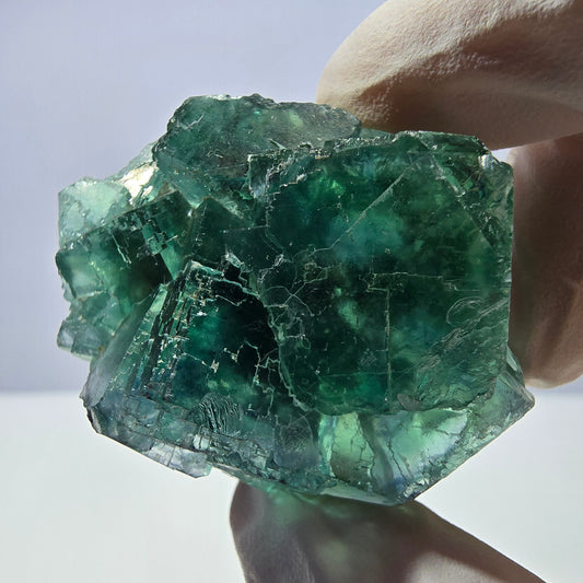Spécimen de cube de fluorite fantôme transparente, vert parqueté, Okorusu, Namibie, 48 x 36 x 21 mm 