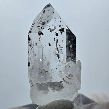 Quartz clair Harlequin Point Streep Mine, Goboboseb, Namibie 29 x 11 x 8 mm 