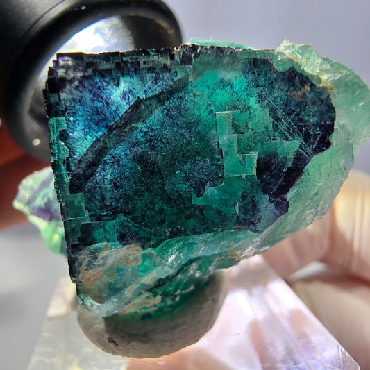 Phantom Fluorit Würfel Stufe grün lila zonal 11:11 Angel Pocket, Namibia 35*28*22mm