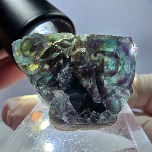 Spécimen de cube de fluorite fantôme, parqueté vert violet Okorusu, Namibie 29*21*12 mm 