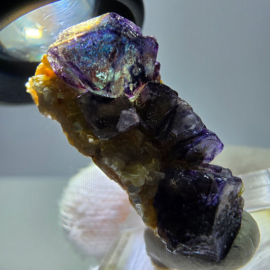 Cubes de fluorite fantôme colorés, spécimen de muscovite, Erongo, Namibie, 32 x 17 x 15 mm 