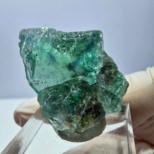 Spécimen de cube de fluorite fantôme, parquet vert Okorusu, Namibie 27 x 24 x 20 mm 