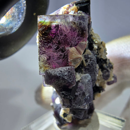 Spécimen de fluorite fantôme colorée et de tourmaline scholle muscovite, Erongo, Namibie, 44 x 29 x 22 mm 