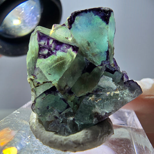 Phantom Fluorit Würfel Stufe, parkettiert, zonal Okorusu, Namibia 28*24*18mm