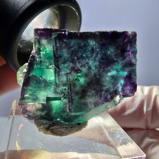 Spécimen de cube de fluorite fantôme, parqueté vert violet Okorusu, Namibie 28*24*22 mm 