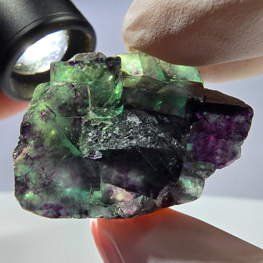 Spécimen de cube de fluorite fantôme parqueté vert violet Okorusu, Namibie 41*30*18mm 