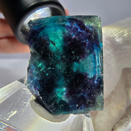 Spécimen de cube de fluorite fantôme, zonal – Nouvelle découverte ! Okorusu, Namibie, 30 x 28 x 14 mm 