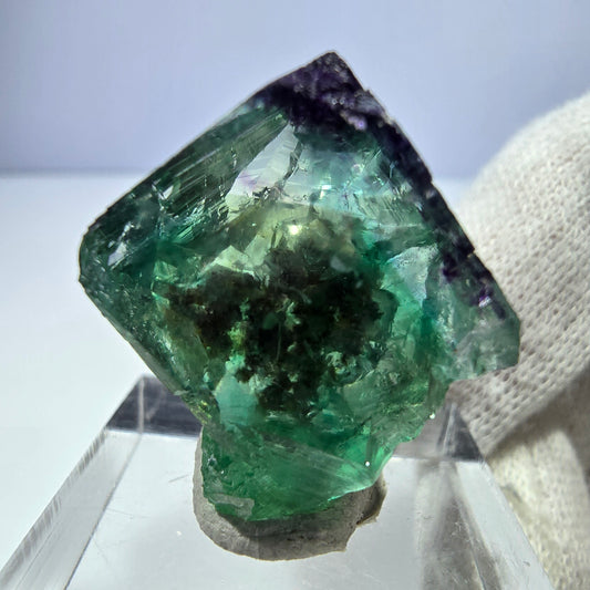 Rare spécimen de cube de fluorite fantôme, vert-violet zonal, Okorusu, Namibie, 26 x 21 x 18 mm 
