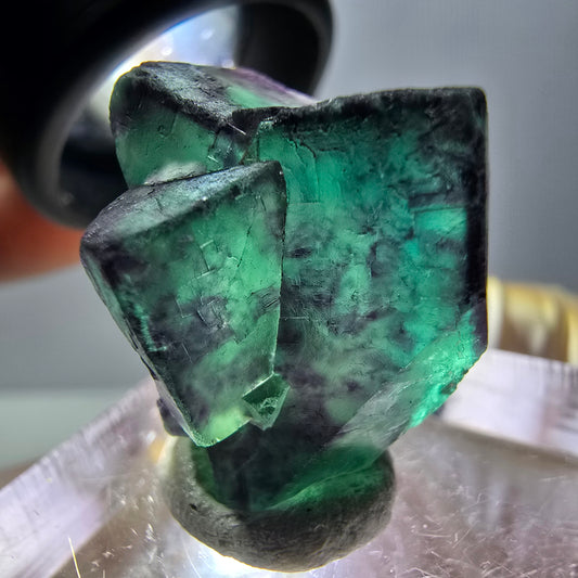 Phantom Fluorit Würfel Stufe, parkettiert grün lila Okorusu, Namibia 25*21*20mm