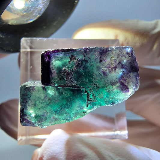 Spécimen de cube de fluorite fantôme, parqueté vert violet Okorusu, Namibie 25*18*14 mm 