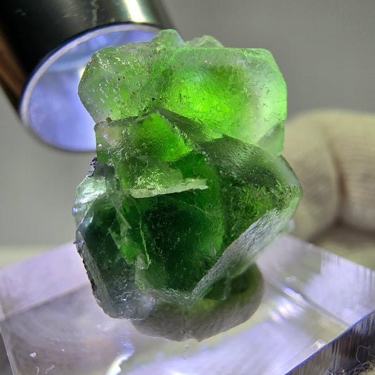 Cube de fluorite fantôme, spécimen de tourmaline Schorl, Erongo, Namibie, 23 x 19 x 15 mm 