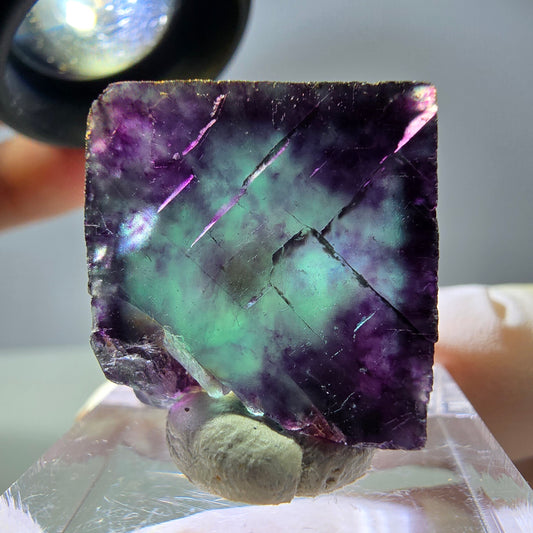 Rare cube de fluorite fantôme parqueté vert violet Okorusu Namibie 19*20*14mm 