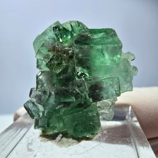 Spécimen de cube de fluorite fantôme, vert violet, Okorusu, Namibie, 25 x 24 x 15 mm 