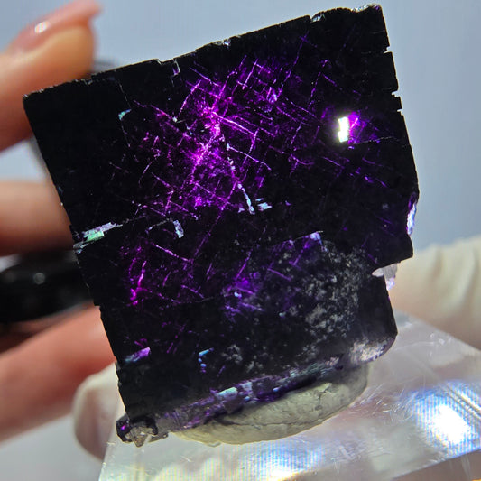 Phantom Fluorit Würfel Stufe grün lila zonal 11:11 Angel Pocket, Namibia 24*22*22mm