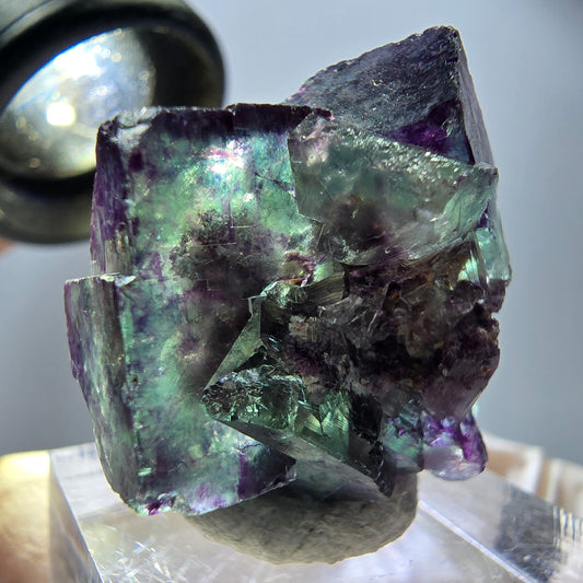Rare Fluorite Cube Specimen, green purple Okorusu, Namibia 27*25*17mm 