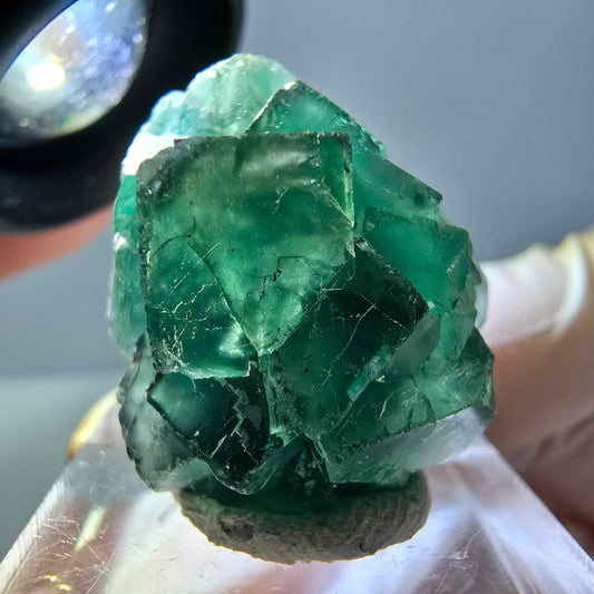 Spécimen de cube de fluorite fantôme, parquet vert Okorusu, Namibie 28 x 24 x 18 mm 