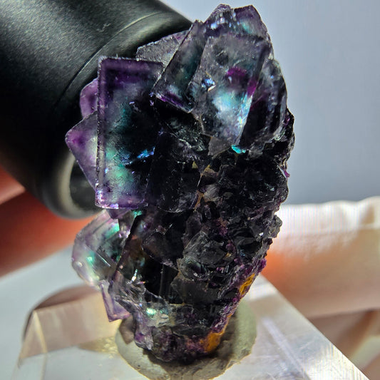 Phantom Fluorit Würfel Stufe, grün lila Okorusu, Namibia 32*23*19mm