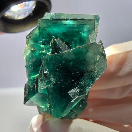 Rare spécimen de cube de fluorite fantôme, vert-violet, Okorusu, Namibie, 47 x 29 x 23 mm 