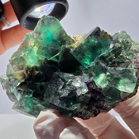 Spécimen de cube de fluorite fantôme parqueté vert violet Okorusu, Namibie 55*48*39mm 
