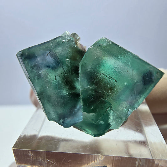 Spécimen de cube de fluorite fantôme, parqueté vert Okorusu, Namibie 27*24*18 mm 