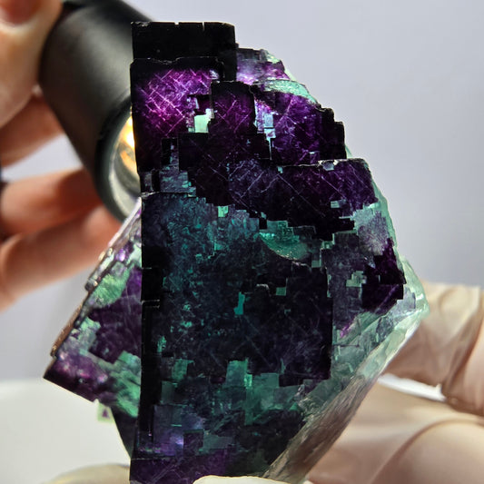 Spécimen de cube de fluorite fantôme vert violet zonal 11:11 Angel Pocket, Namibie 60*39*27mm 