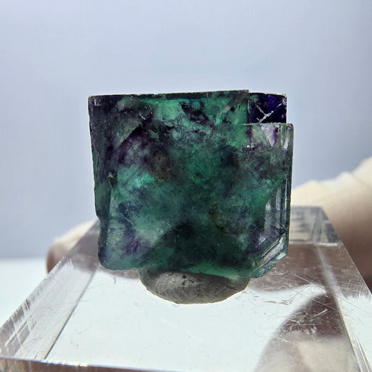 Phantom Fluorit Würfel Stufe, parkettiert grün lila Okorusu, Namibia 15*16*14mm