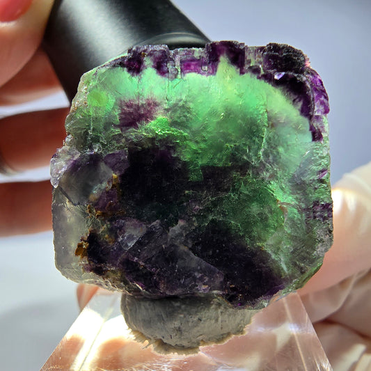 Spécimen de cube de fluorite fantôme, parqueté, zonal Okorusu, Namibie 31*29*24mm 