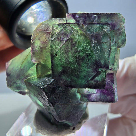 Phantom Fluorit Würfel Stufe, parkettiert grün lila Okorusu, Namibia 39*31*18mm