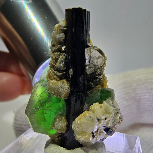 Cube de fluorite fantôme, muscovite et tourmaline Schorl, spécimen d'Erongo, Namibie, 29 x 19 x 17 mm 