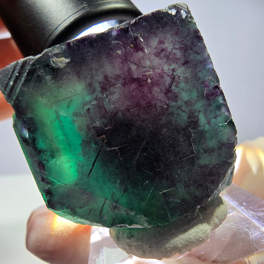 Rare cube de fluorite fantôme parqueté vert violet Okorusu Namibie 31*30*30mm 