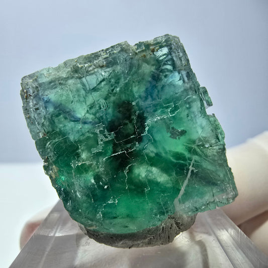 Cube de fluorite fantôme transparente parquetée, vert Okorusu, Namibie 23*23*22mm 