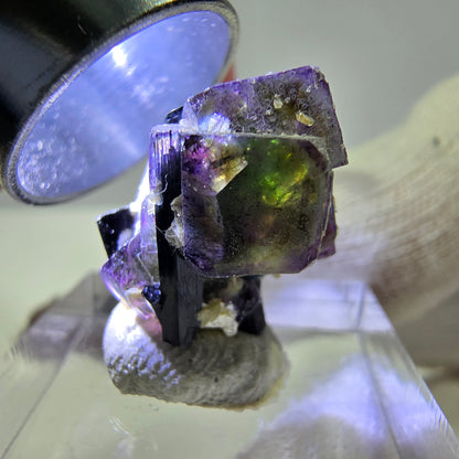 Fluorite fantôme colorée, Spécimen de tourmaline muscovite Schorl, Erongo, Namibie, 20 x 16 x 16 mm 