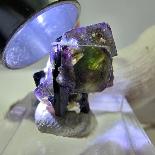 Fluorite fantôme colorée, Spécimen de tourmaline muscovite Schorl, Erongo, Namibie, 20 x 16 x 16 mm 